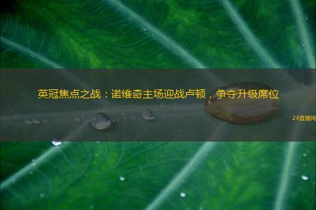 英冠焦点之战：诺维奇主场迎战卢顿，争夺升级席位