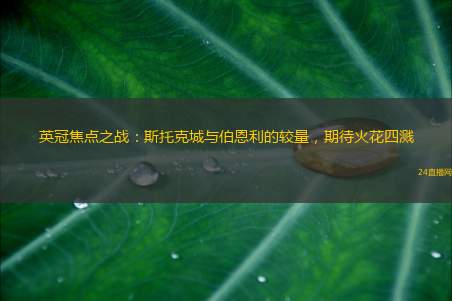 英冠焦点之战：斯托克城与伯恩利的较量，期待火花四溅
