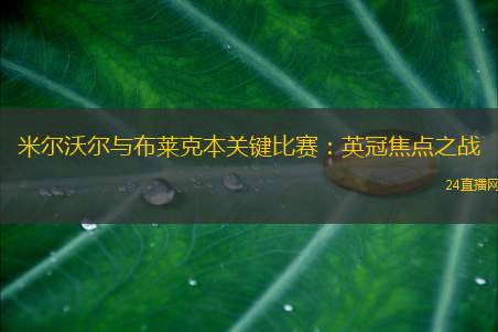 米尔沃尔与布莱克本关键比赛：英冠焦点之战
