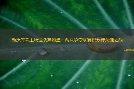 勒沃库森主场迎战弗赖堡：两队争夺联赛积分榜关键之战