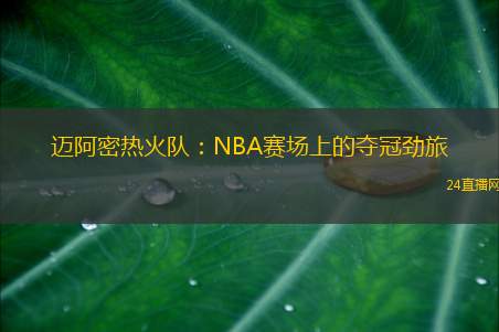 迈阿密热火队：NBA赛场上的夺冠劲旅