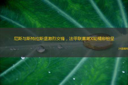尼斯与斯特拉斯堡激烈交锋，法甲联赛第X轮精彩纷呈