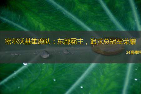 密尔沃基雄鹿队：东部霸主，追求总冠军荣耀